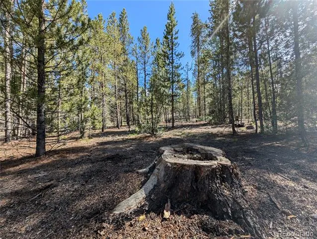 495 Birch Drive Twin Lakes, CO 81251