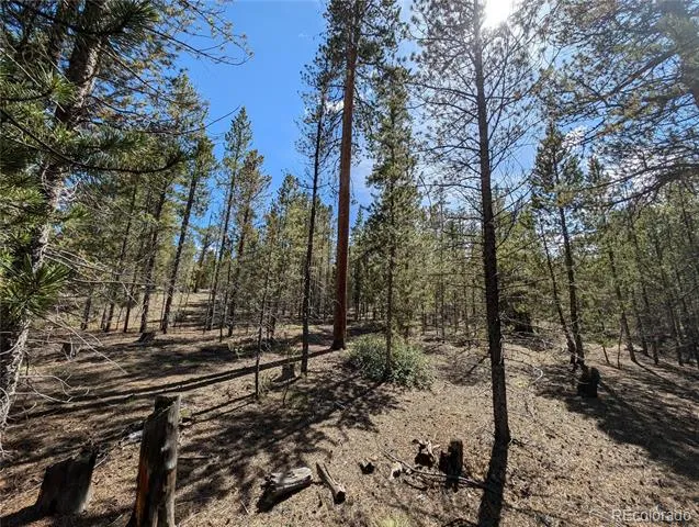 495 Birch Drive Twin Lakes, CO 81251