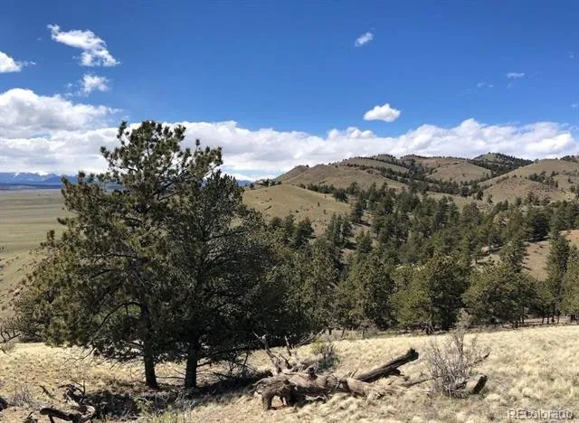 Lot 11 Willow Street Hartsel, CO 80449