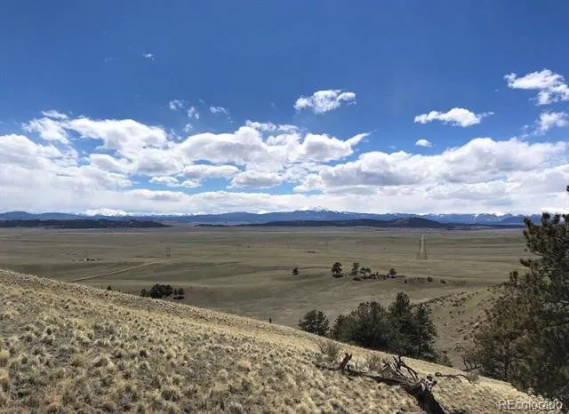 Lot 11 Willow Street Hartsel, CO 80449