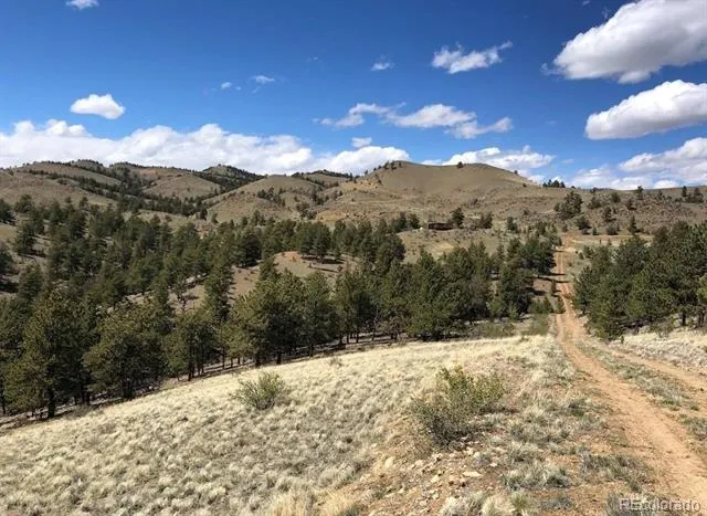 Lot 11 Willow Street Hartsel, CO 80449