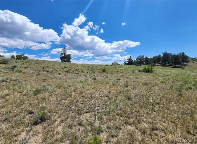 Lot 11 Willow Street Hartsel, CO 80449