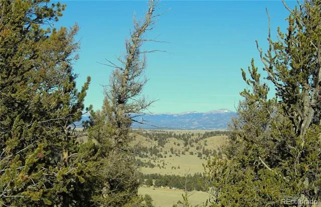 Lot 11 Willow Street Hartsel, CO 80449