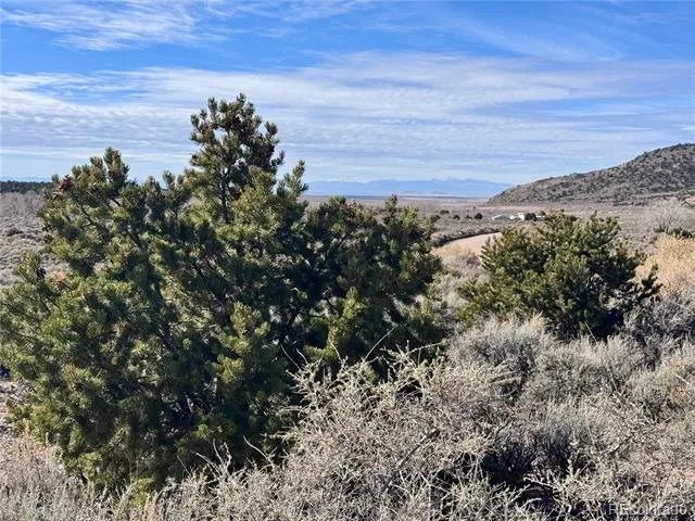 lot 663 Slegers Road Fort Garland, CO 81133