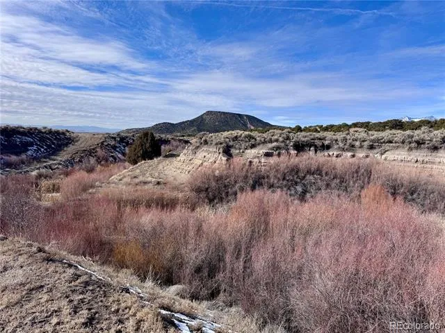lot 663 Slegers Road Fort Garland, CO 81133
