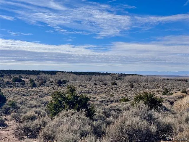 lot 663 Slegers Road Fort Garland, CO 81133
