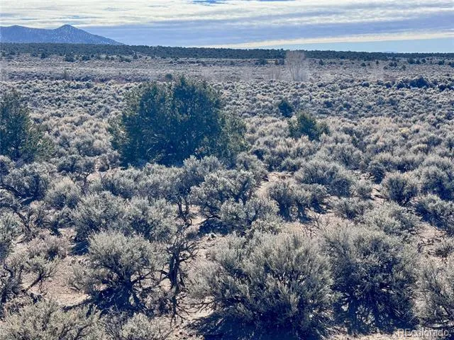 lot 663 Slegers Road Fort Garland, CO 81133