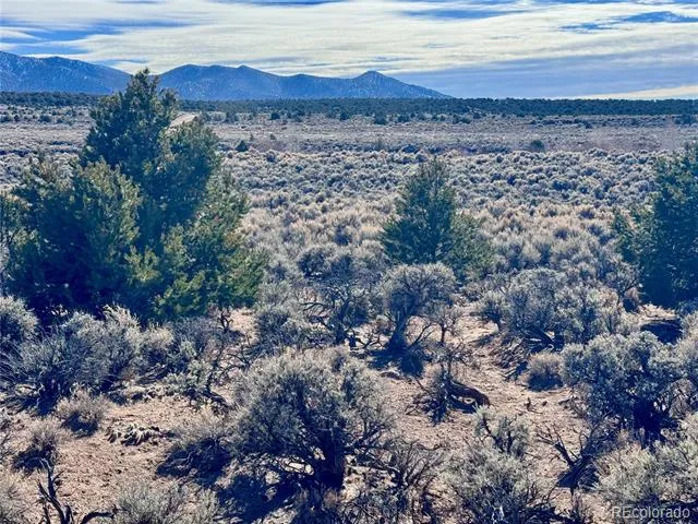 lot 663 Slegers Road Fort Garland, CO 81133