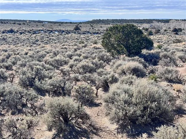 lot 663 Slegers Road Fort Garland, CO 81133