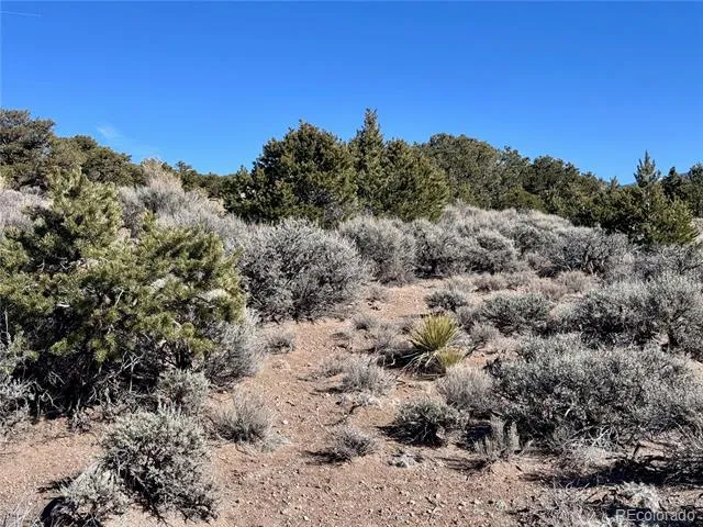 lot 663 Slegers Road Fort Garland, CO 81133