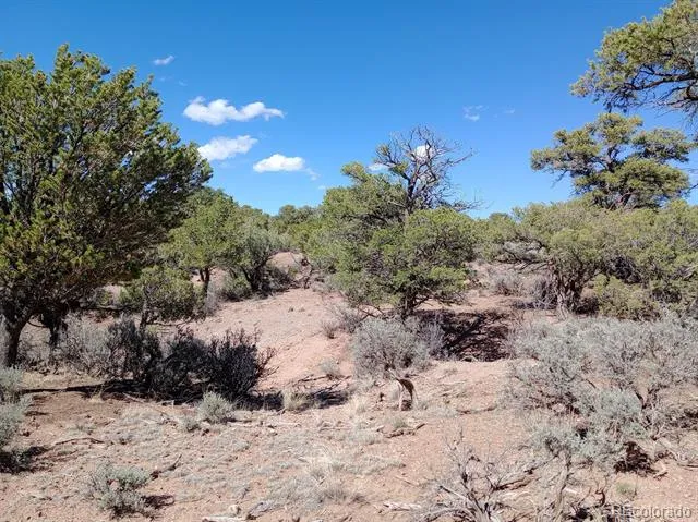 5 acres Reg Jones Rd Fort Garland, CO 81133