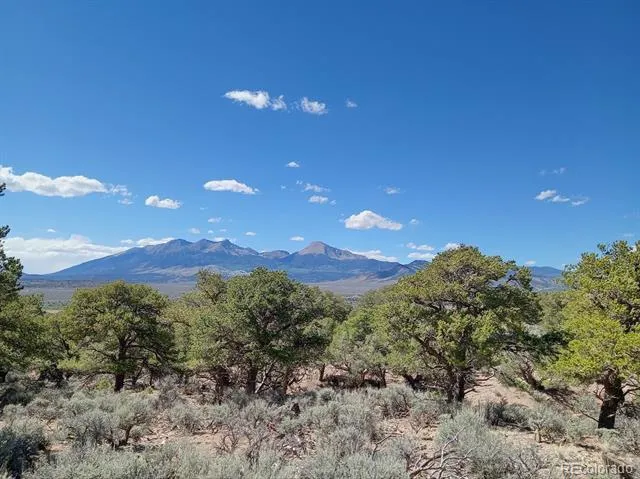 5 acres Reg Jones Rd Fort Garland, CO 81133