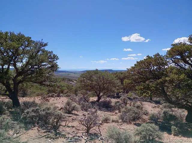 5 acres Reg Jones Rd Fort Garland, CO 81133