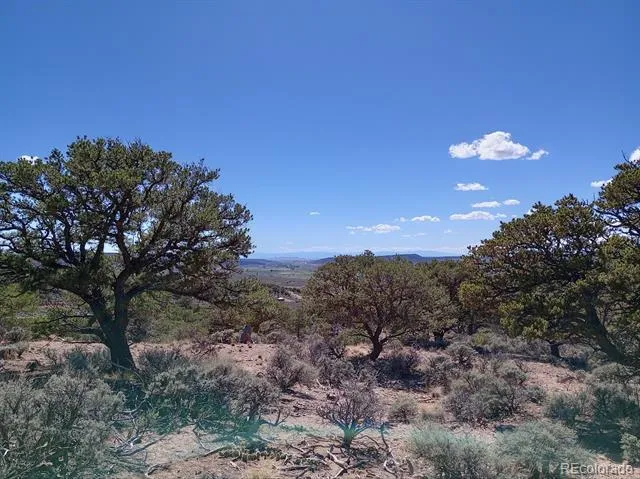 5 acres Reg Jones Rd Fort Garland, CO 81133