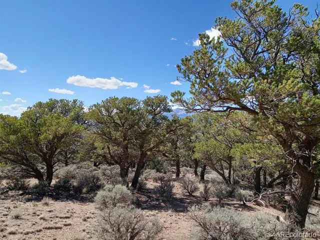 5 acres Reg Jones Rd Fort Garland, CO 81133