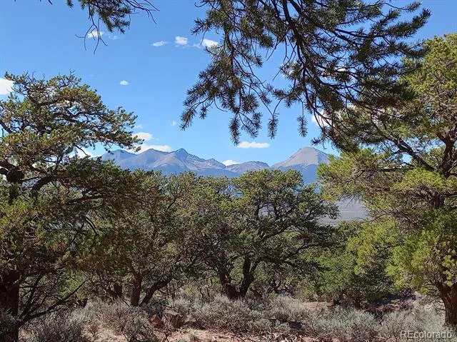 5 acres Reg Jones Rd Fort Garland, CO 81133