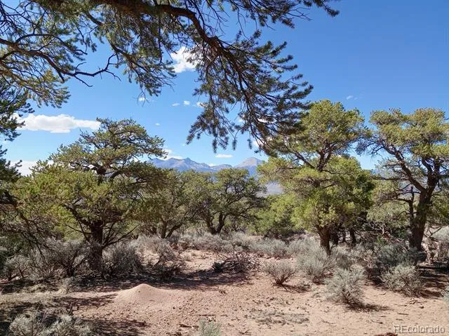 5 acres Reg Jones Rd Fort Garland, CO 81133