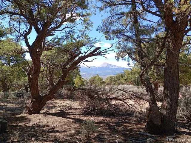 5 acres Reg Jones Rd Fort Garland, CO 81133