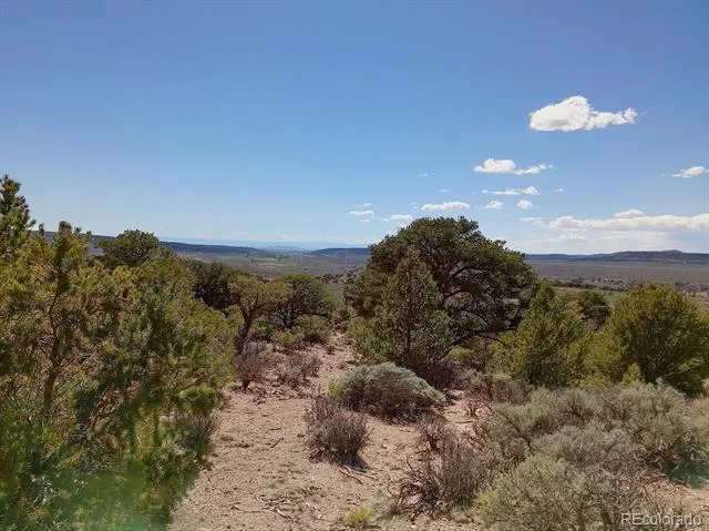 5 acres Reg Jones Rd Fort Garland, CO 81133