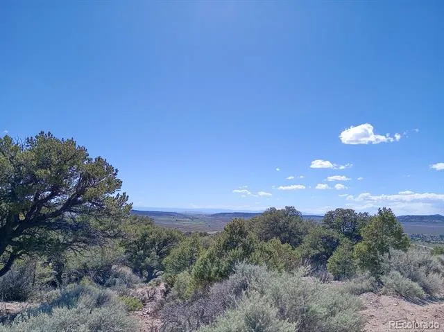 5 acres Reg Jones Rd Fort Garland, CO 81133