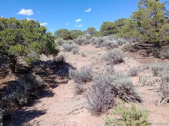 5 acres Reg Jones Rd Fort Garland, CO 81133