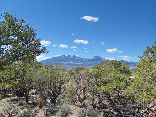 5 acres Reg Jones Rd Fort Garland, CO 81133