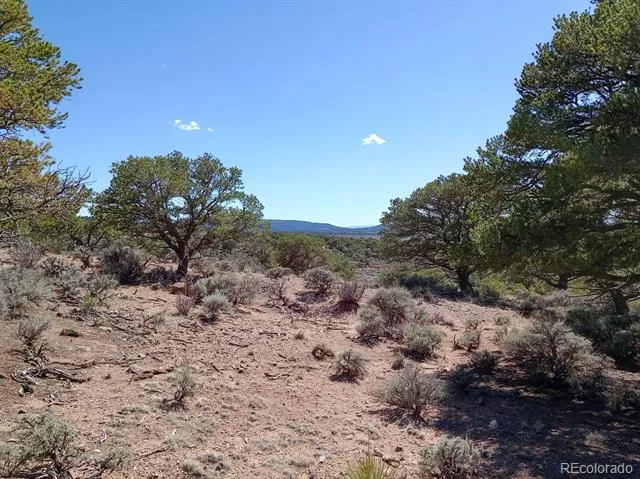 5 acres Reg Jones Rd Fort Garland, CO 81133