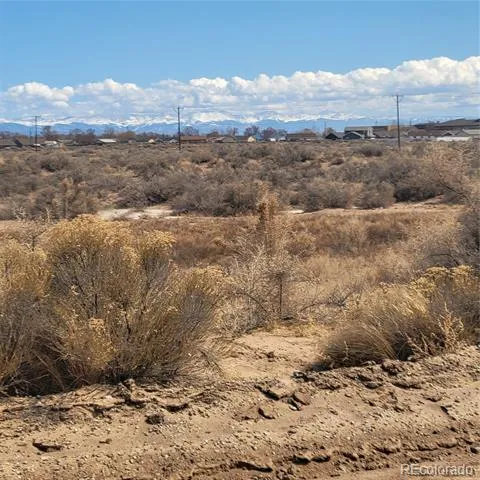 54 ac m/l Chico Street Alamosa, CO 81101