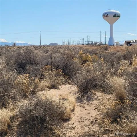 54 ac m/l Chico Street Alamosa, CO 81101