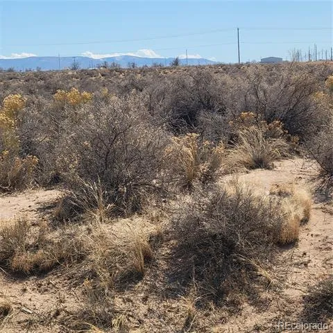 54 ac m/l Chico Street Alamosa, CO 81101