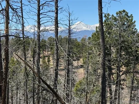 Lot 1154 Bluhdorn Place
