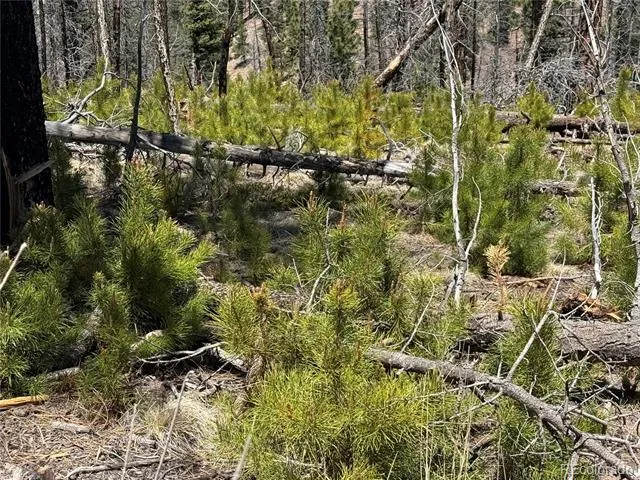 Lot 1154 Bluhdorn Place Fort Garland, CO 81133