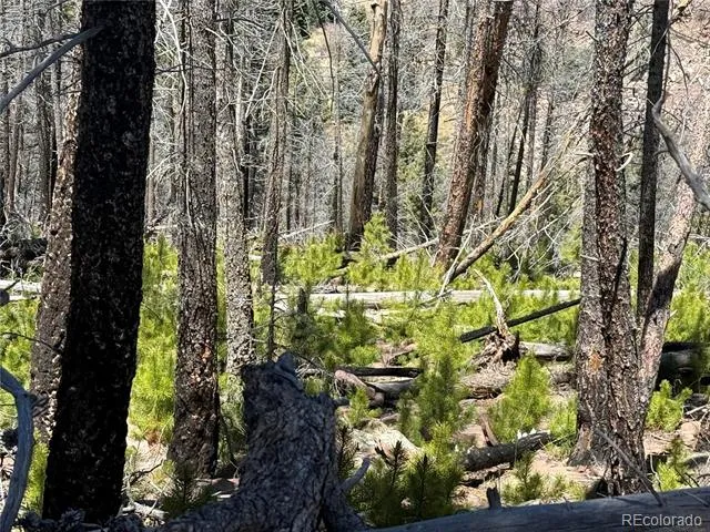 Lot 1154 Bluhdorn Place Fort Garland, CO 81133