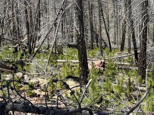 Lot 1154 Bluhdorn Place Fort Garland, CO 81133