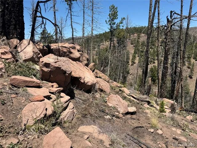 Lot 1154 Bluhdorn Place Fort Garland, CO 81133