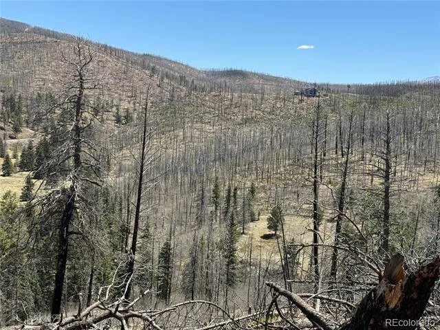 Lot 1154 Bluhdorn Place Fort Garland, CO 81133