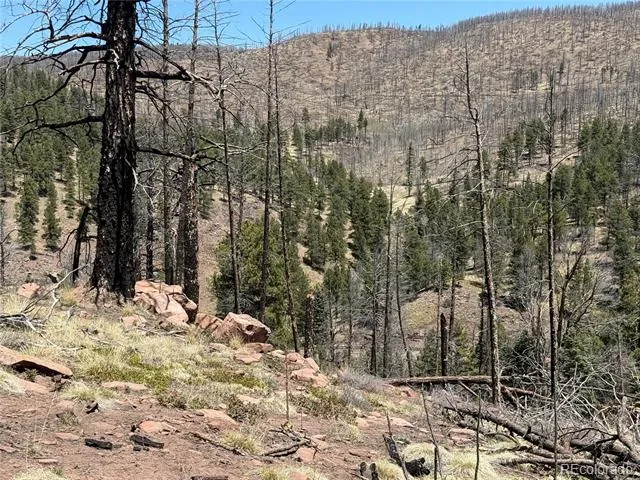 Lot 1154 Bluhdorn Place Fort Garland, CO 81133