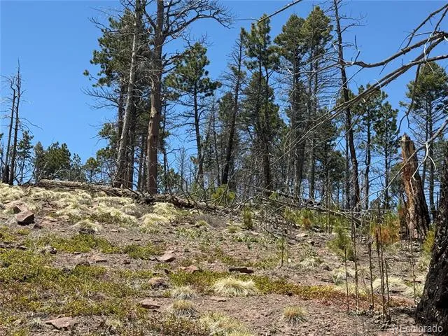 Lot 1154 Bluhdorn Place Fort Garland, CO 81133