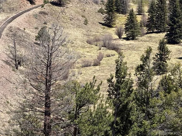 Lot 1154 Bluhdorn Place Fort Garland, CO 81133