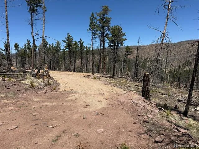 Lot 1154 Bluhdorn Place Fort Garland, CO 81133