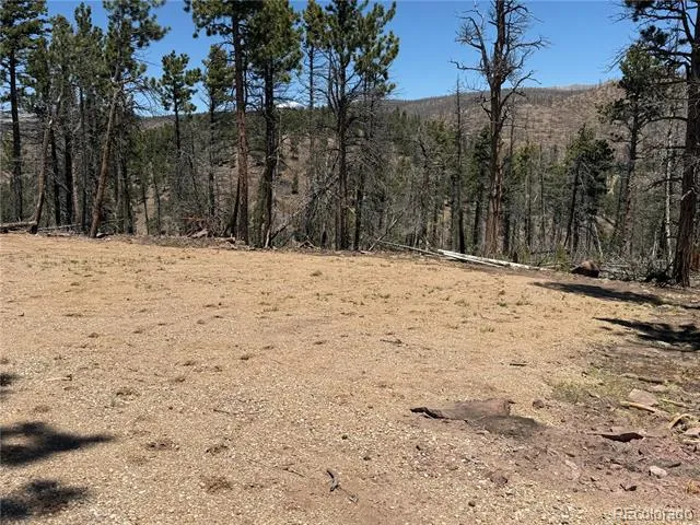 Lot 1154 Bluhdorn Place Fort Garland, CO 81133