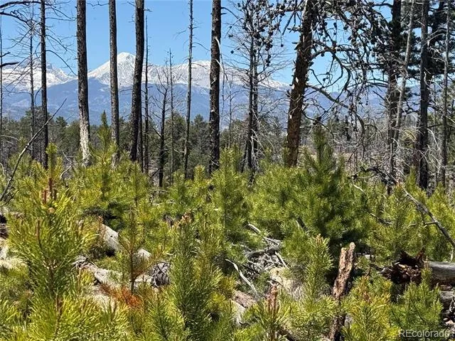 Lot 1154 Bluhdorn Place Fort Garland, CO 81133