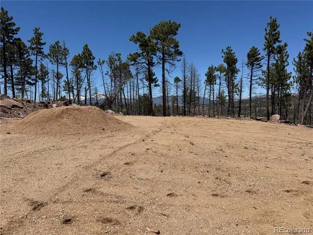 Lot 1154 Bluhdorn Place Fort Garland, CO 81133