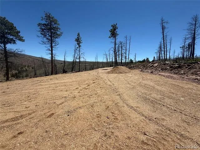 Lot 1154 Bluhdorn Place Fort Garland, CO 81133