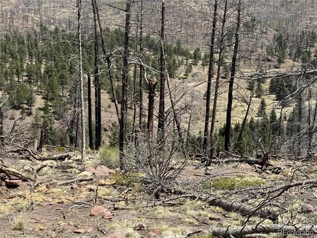 Lot 1154 Bluhdorn Place Fort Garland, CO 81133
