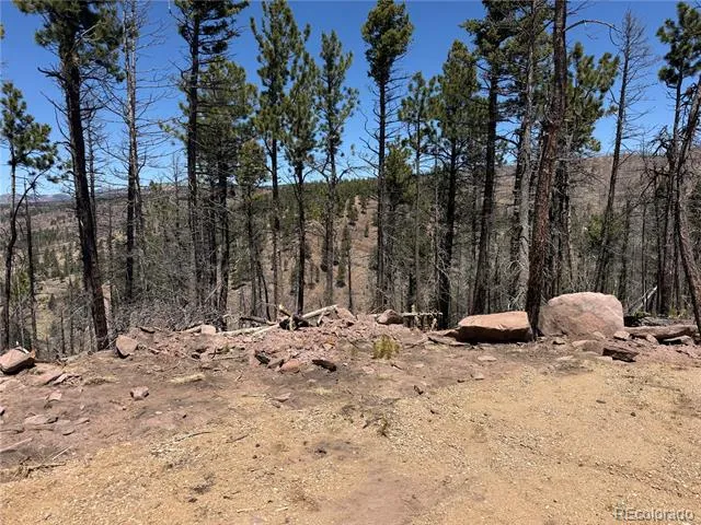 Lot 1154 Bluhdorn Place Fort Garland, CO 81133