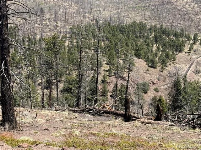 Lot 1154 Bluhdorn Place Fort Garland, CO 81133