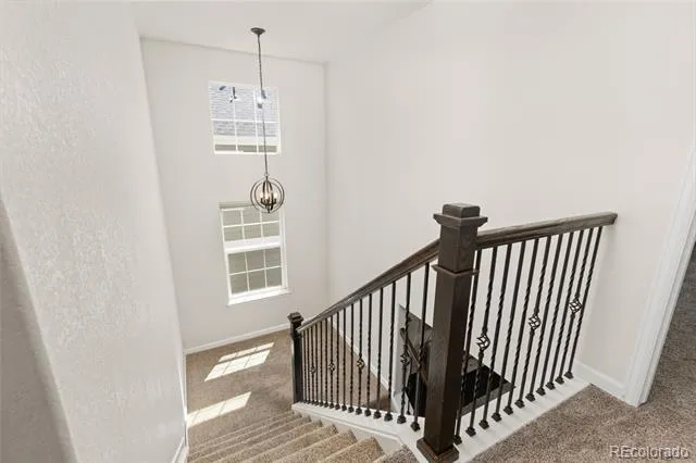 1908 Treetop Drive Castle Rock, CO 80109