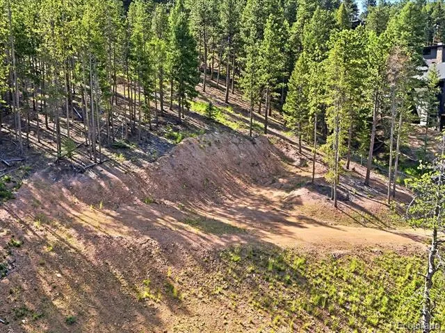 6824 Lynx Lair Road Evergreen, CO 80439