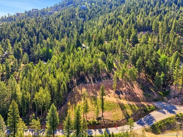 6824 Lynx Lair Road Evergreen, CO 80439
